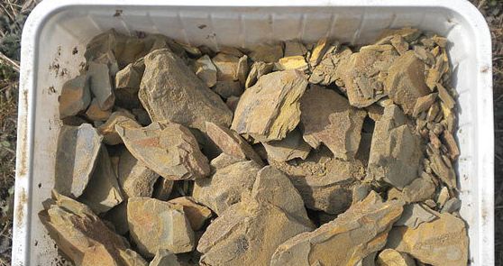 Multani Mitti Benefits for face, skin hair